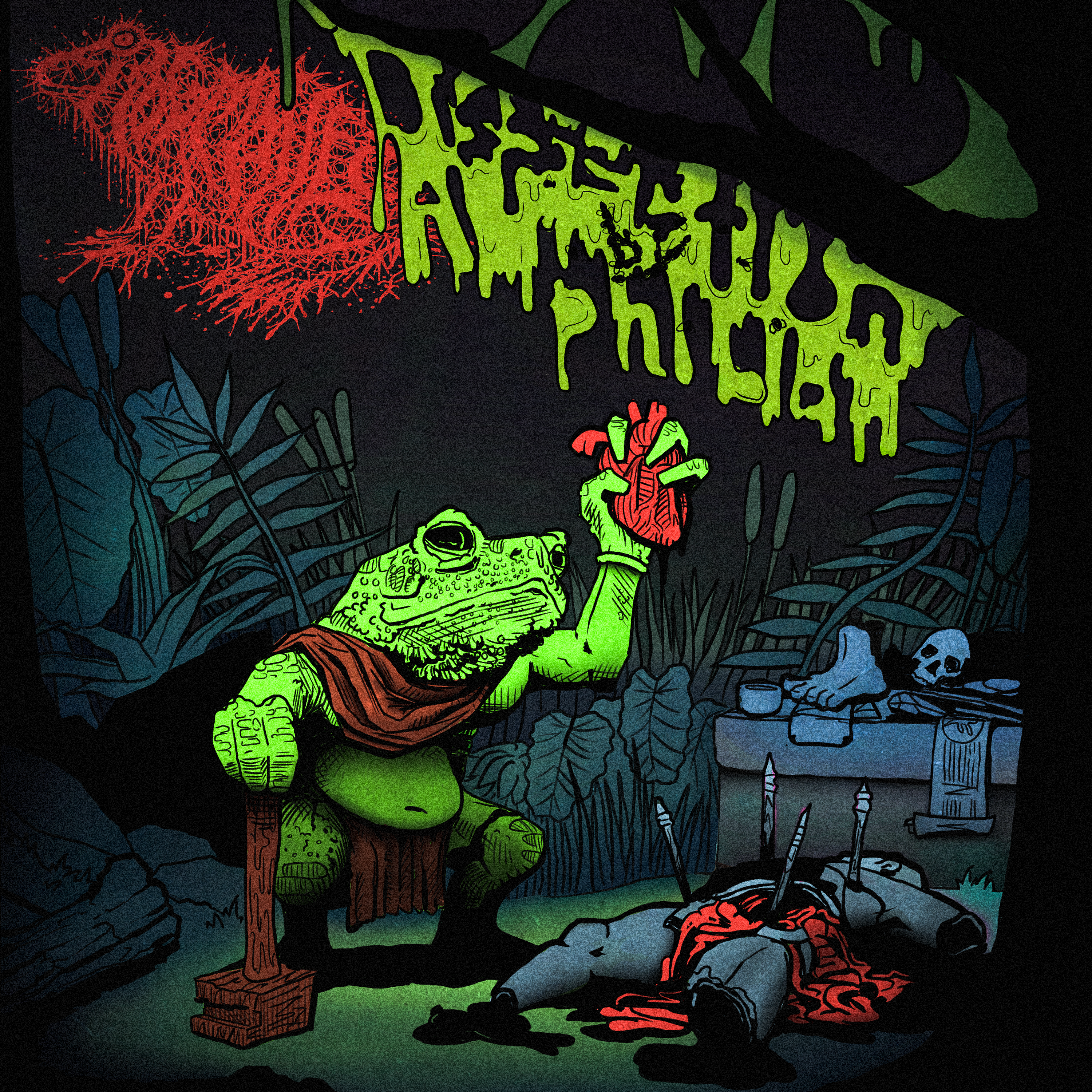 Frog Mallet - Dissection by Amphibian