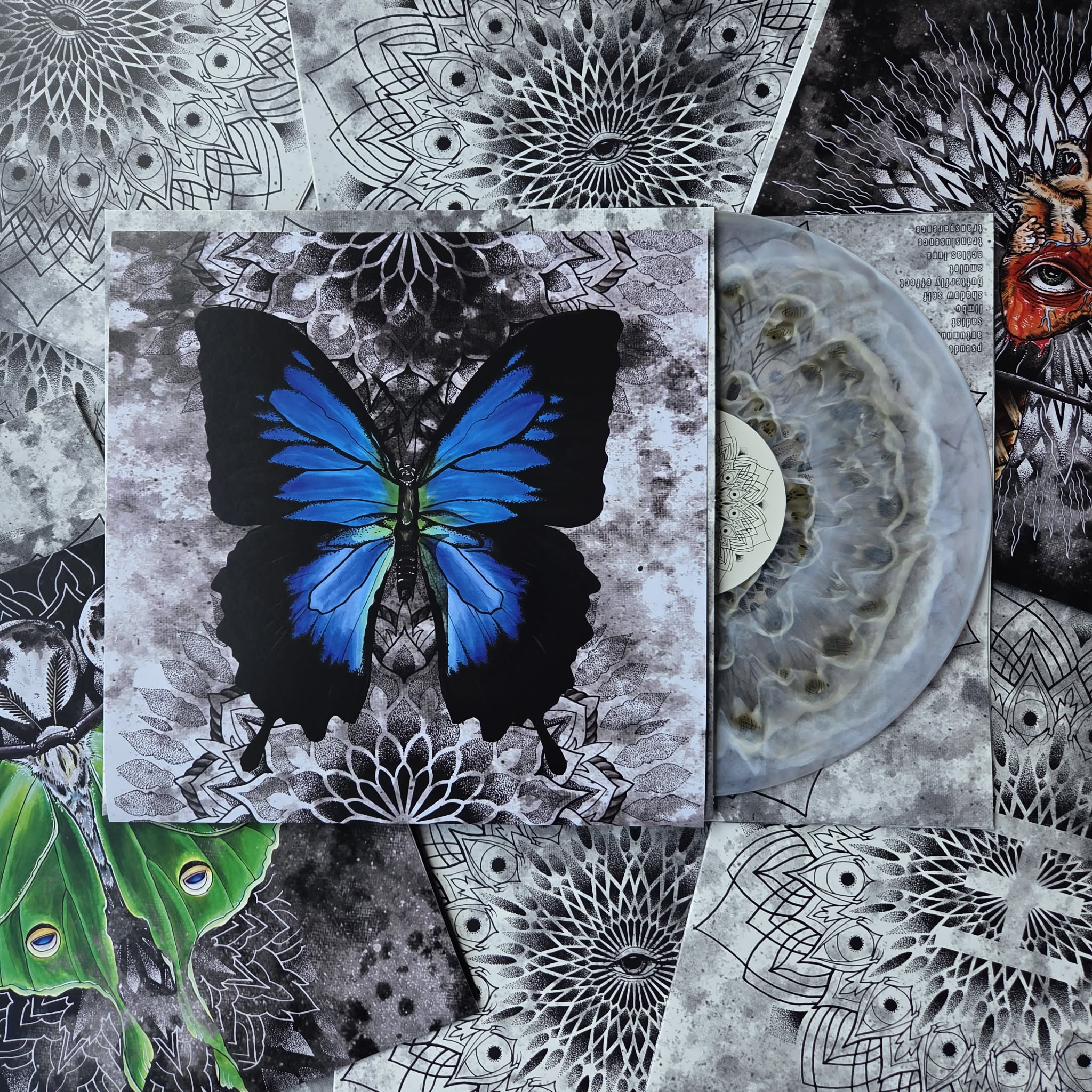 Reflections - The Color Clear [Instrumental] – SGR Distro