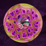 The Milwaukee Protocol - 7 Out Of 41